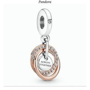 Pandora Family Always Encircled Dangle Charm